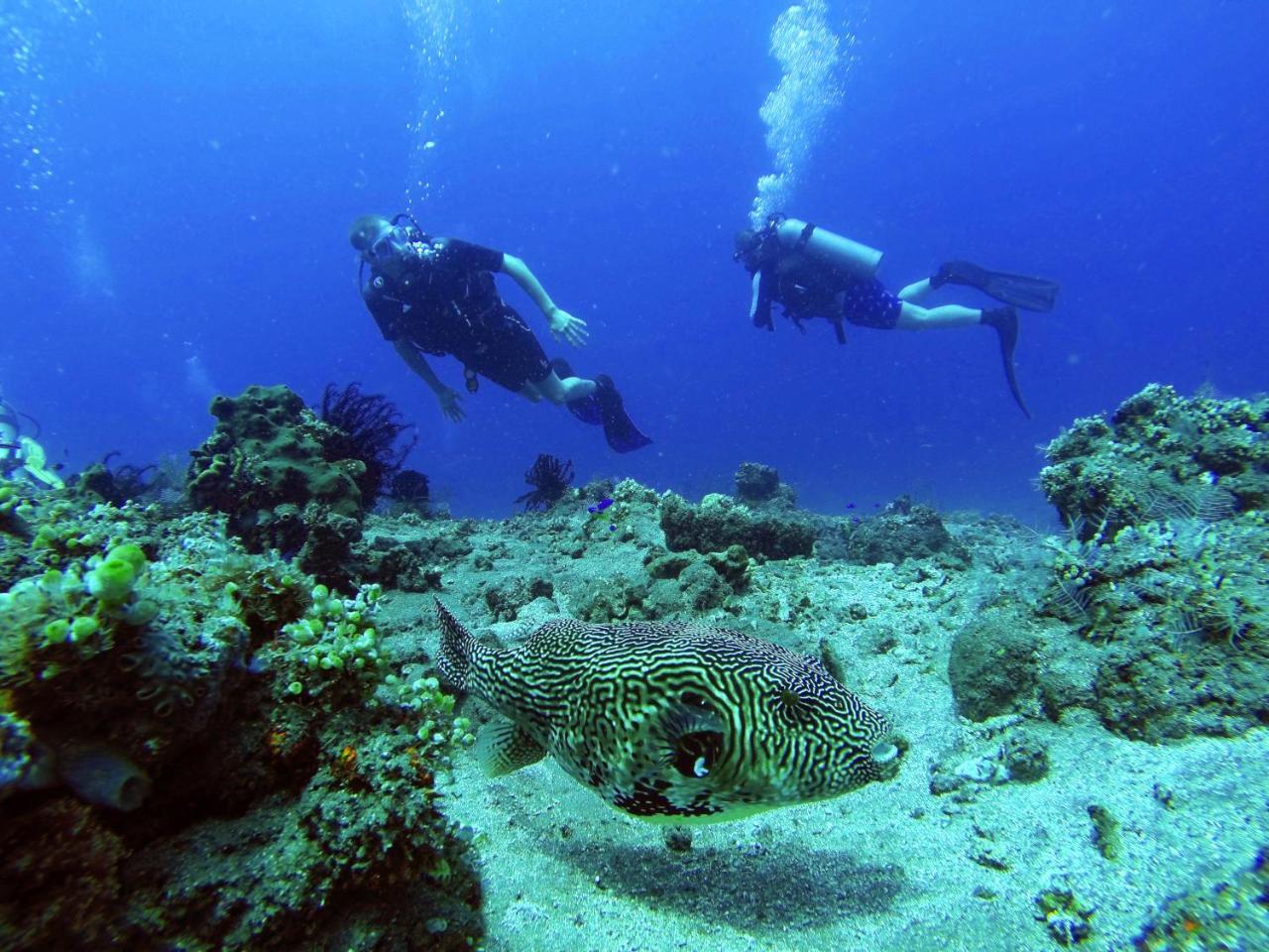 La Bila Dive Resort Amed Luaran gambar