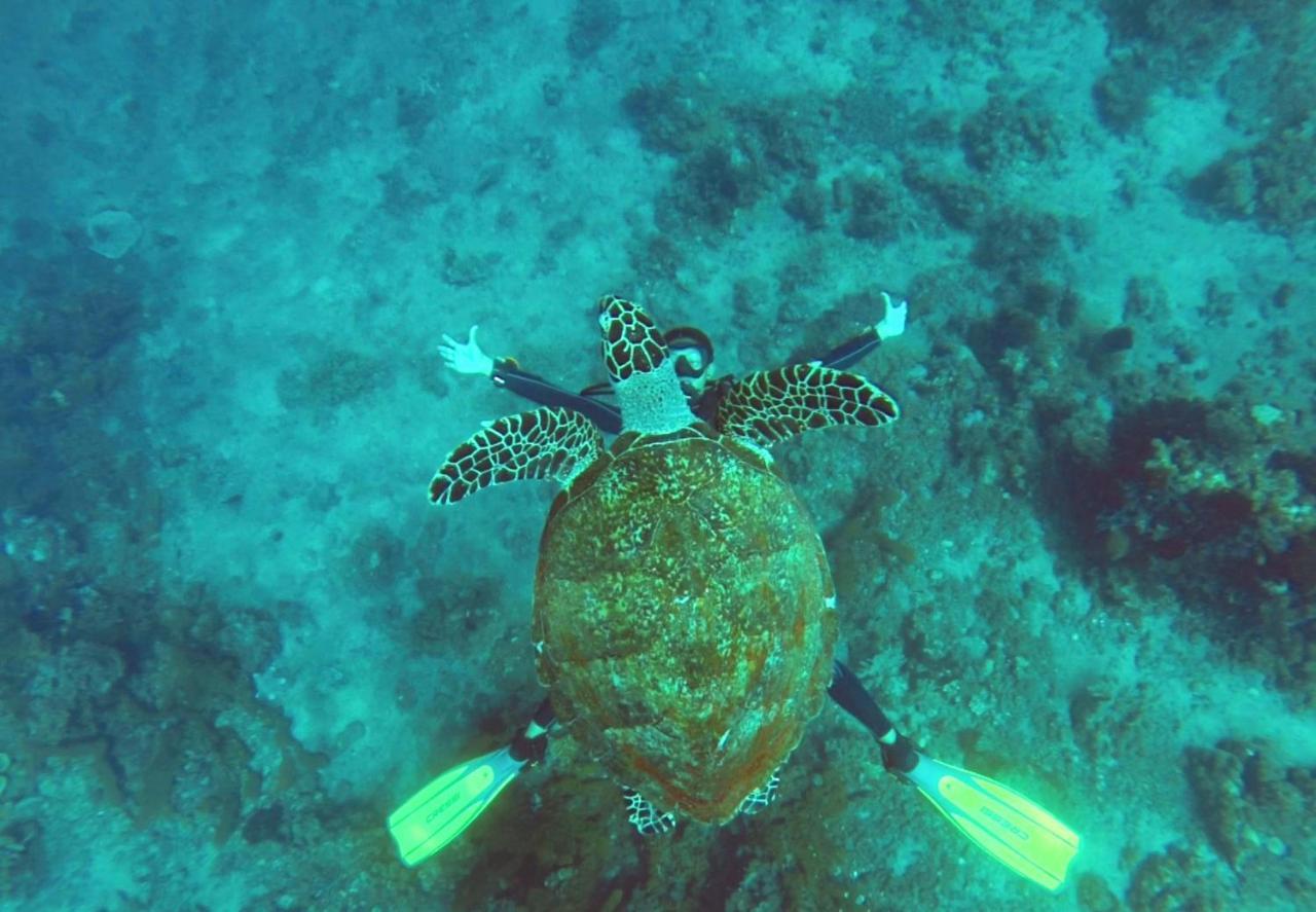 La Bila Dive Resort Amed Luaran gambar
