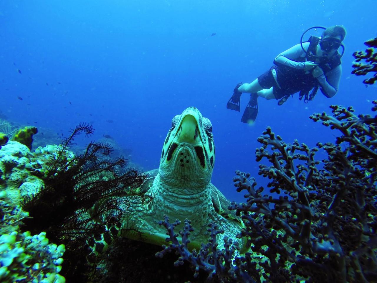 La Bila Dive Resort Amed Luaran gambar