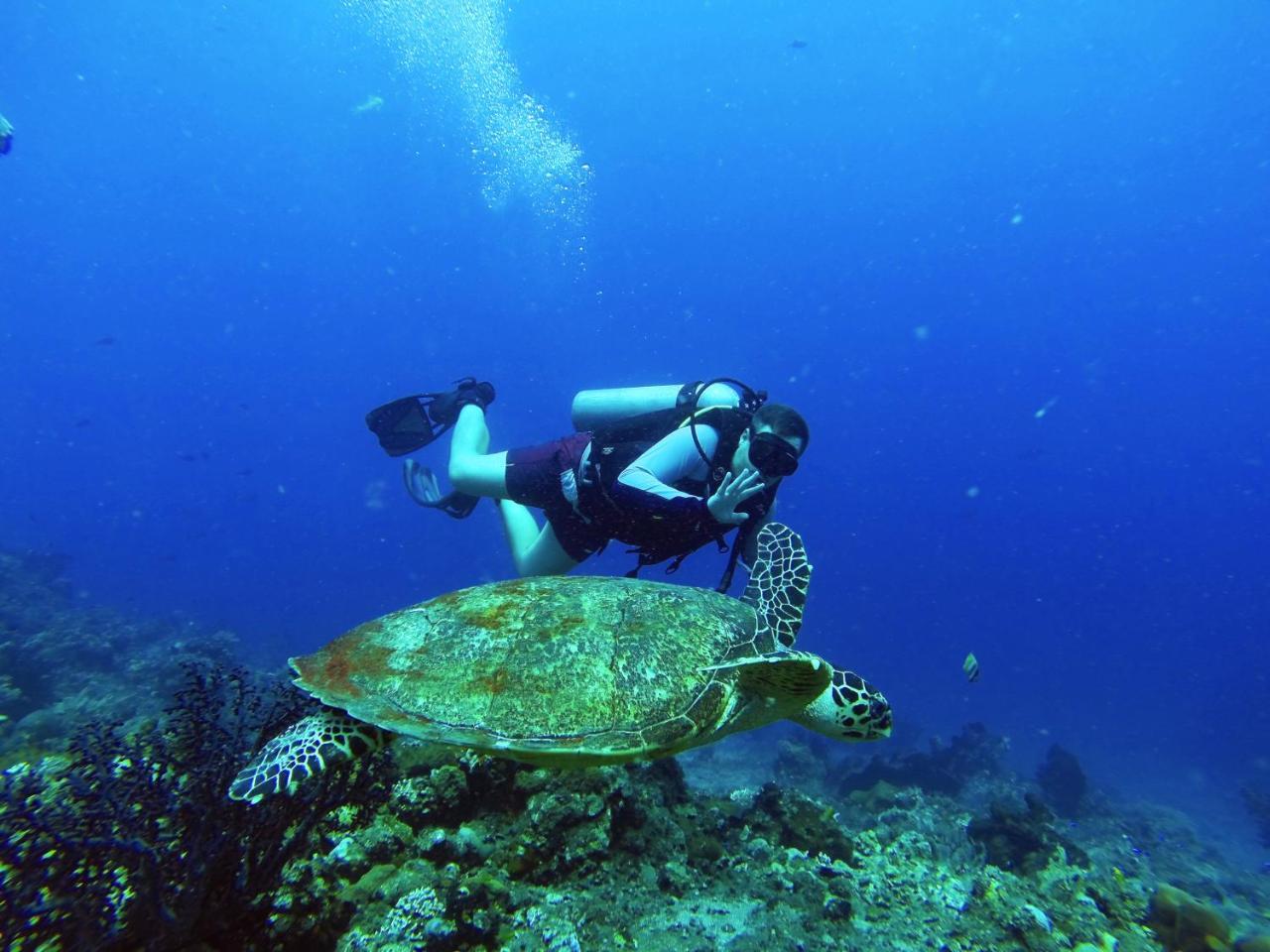 La Bila Dive Resort Amed Luaran gambar