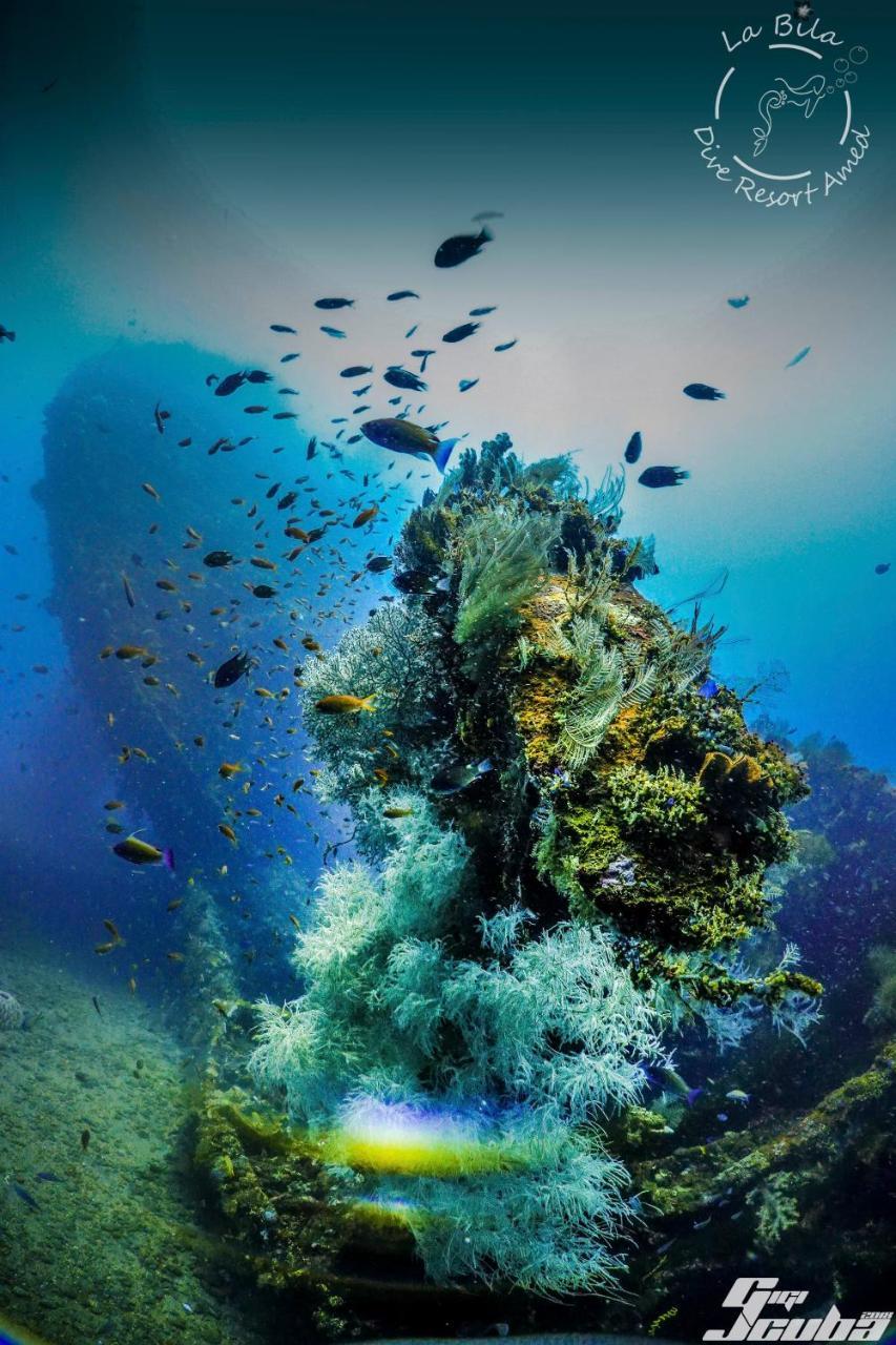 La Bila Dive Resort Amed Luaran gambar